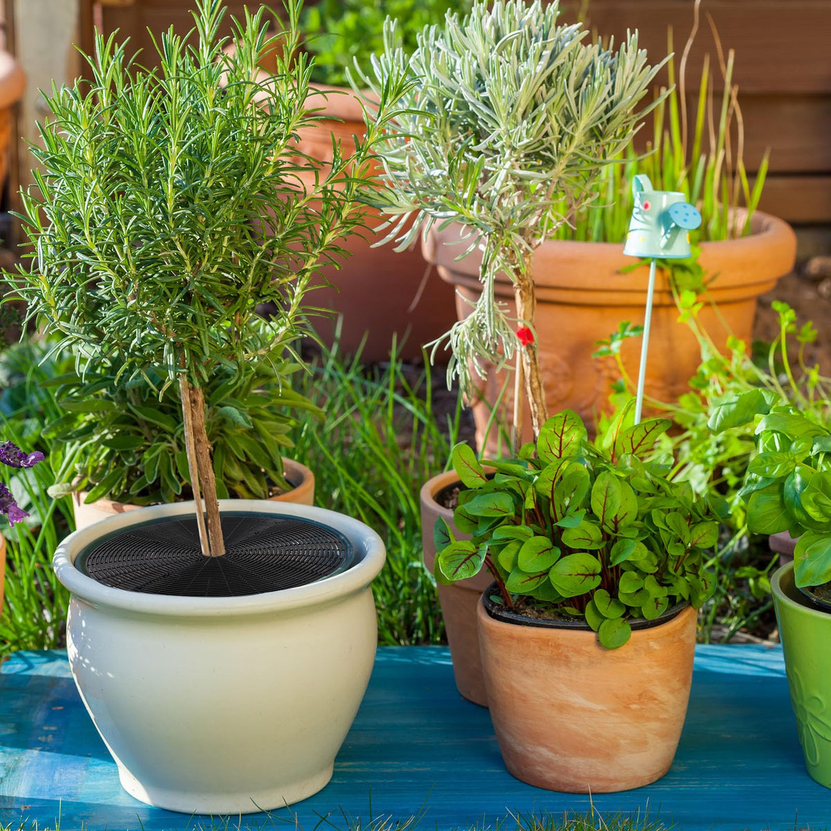 Sawysine grid is easy to install and remove for flexible plant care
