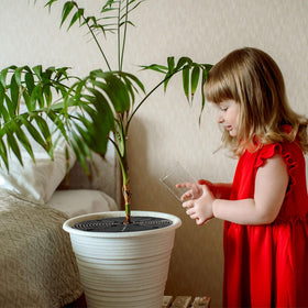 Sawysine easy install and removal for pot care routines.