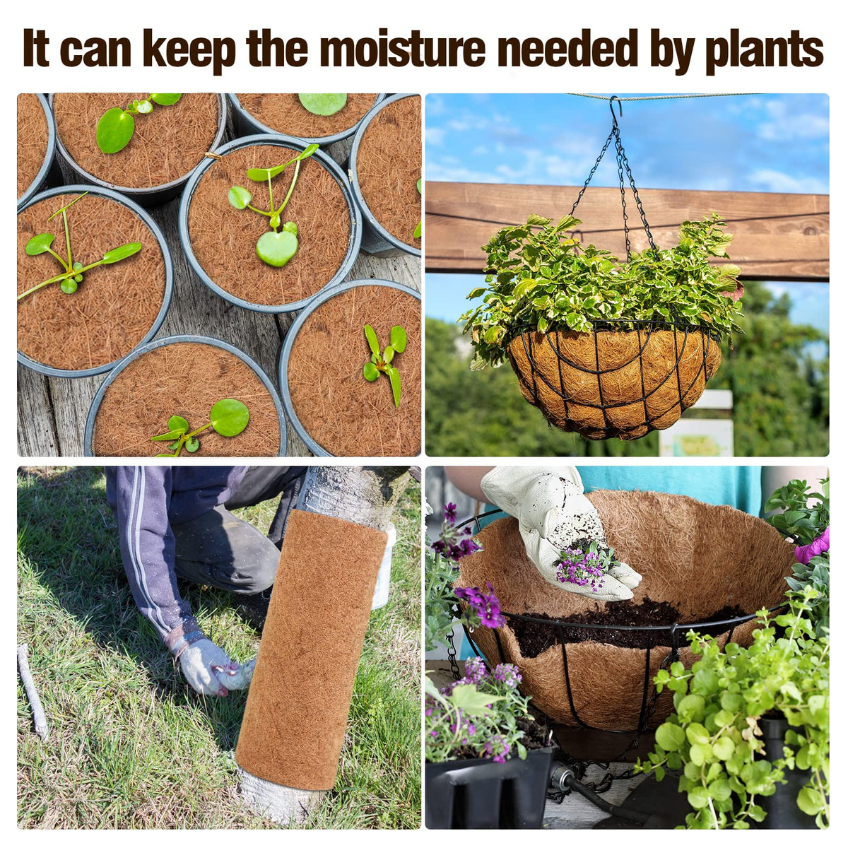 Sawysine plant liner provides thick, soft material for roots.