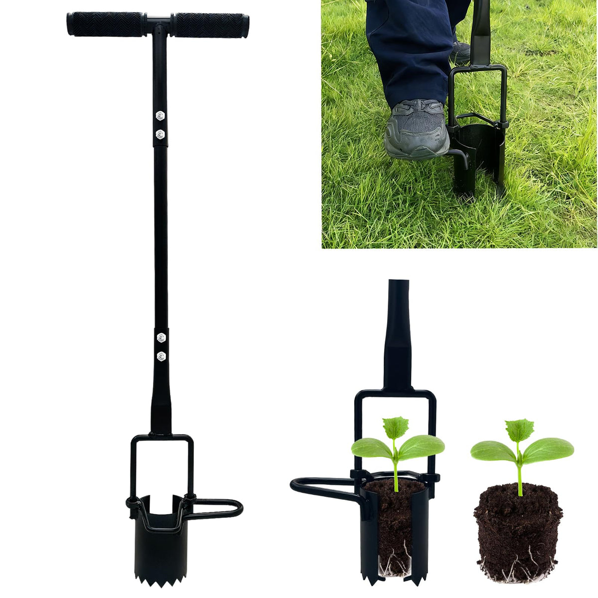 Saxhexx Bulb Planter Tool with long handle and serrated base for precise planting
