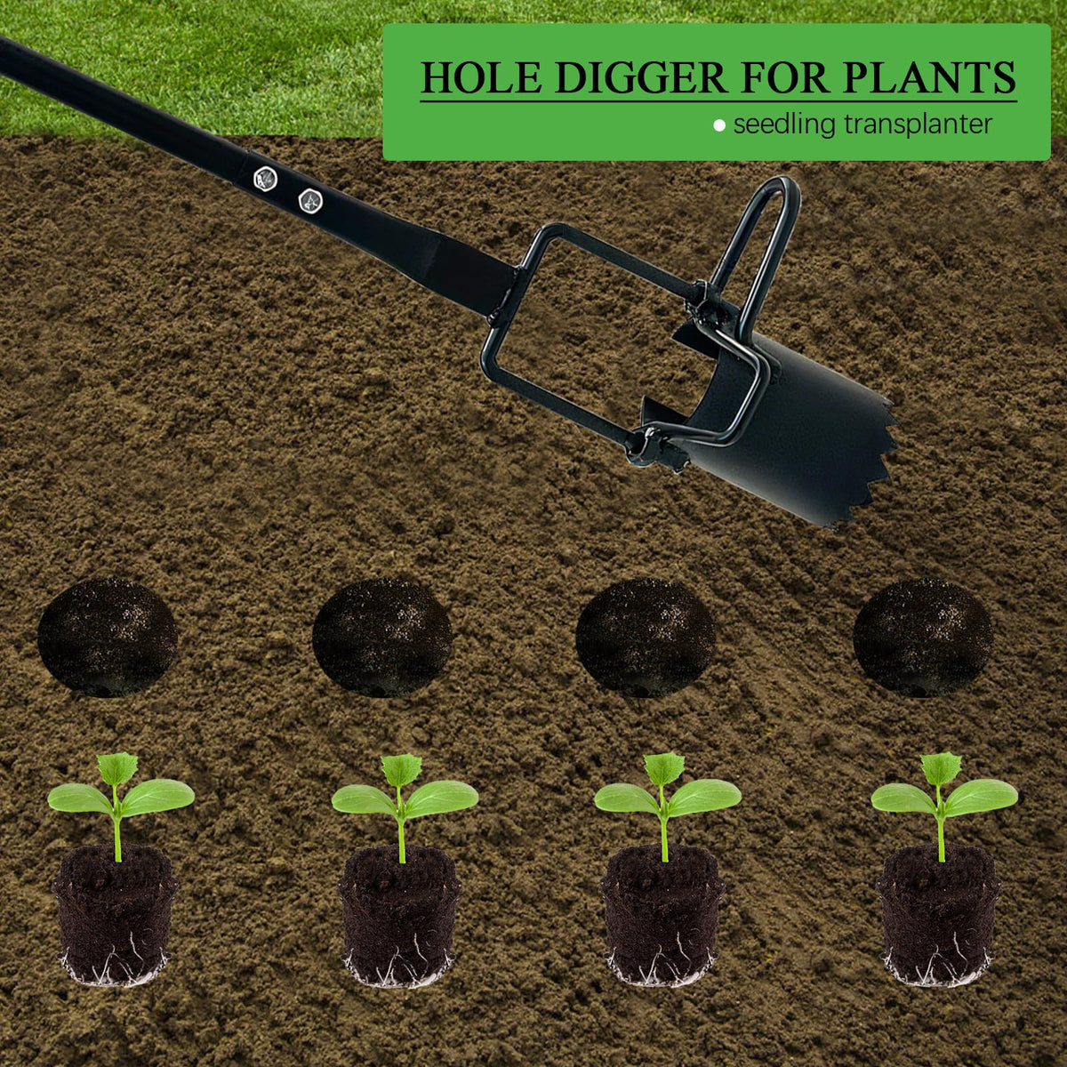 Saxhexx versatile tool handles tulips, daffodils, irises and other bulbs