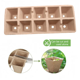 Sayehuanye herbs tomatoes vegetables start thriving with these trays.