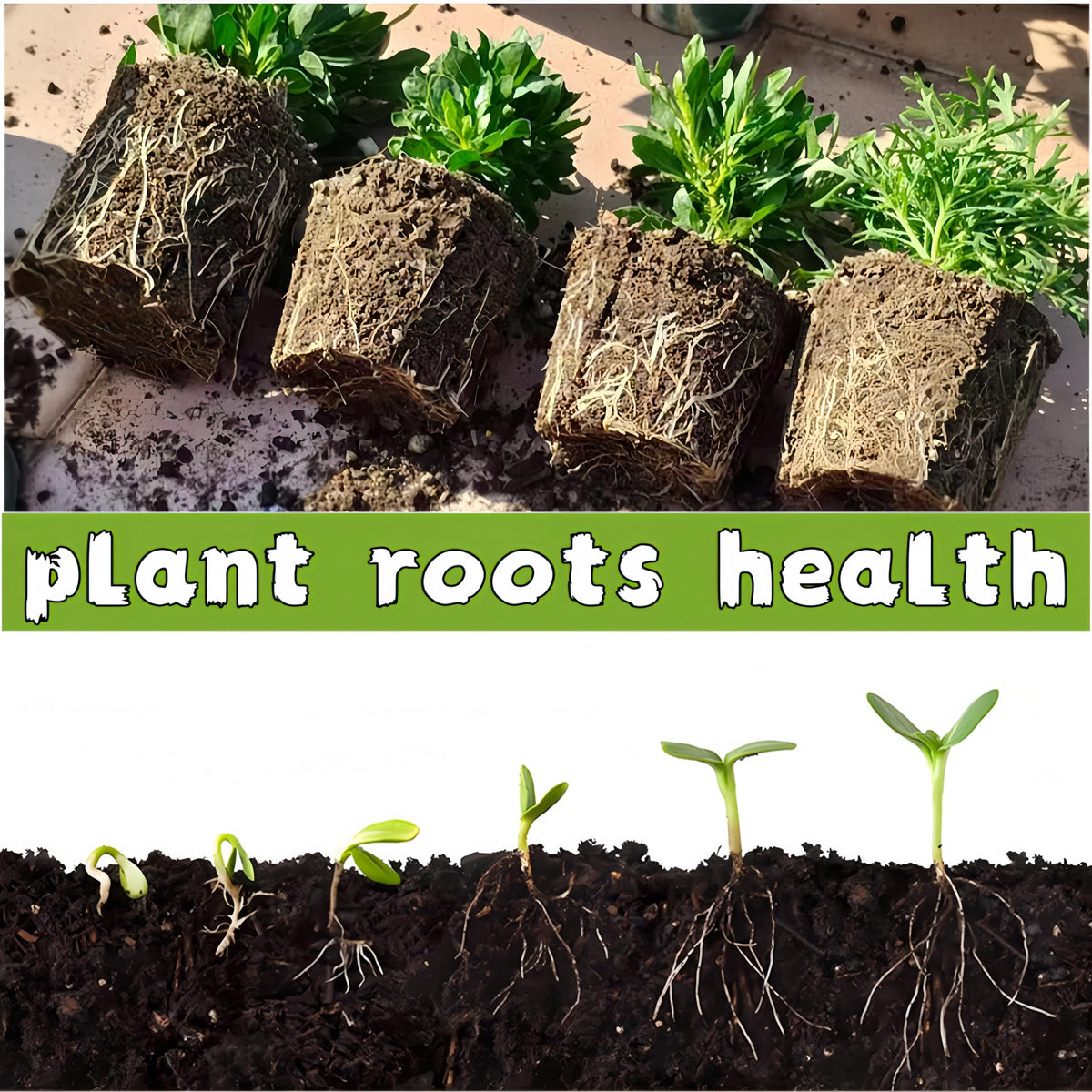 Sayehuanye indoor outdoor seed starter is versatile for many plants.