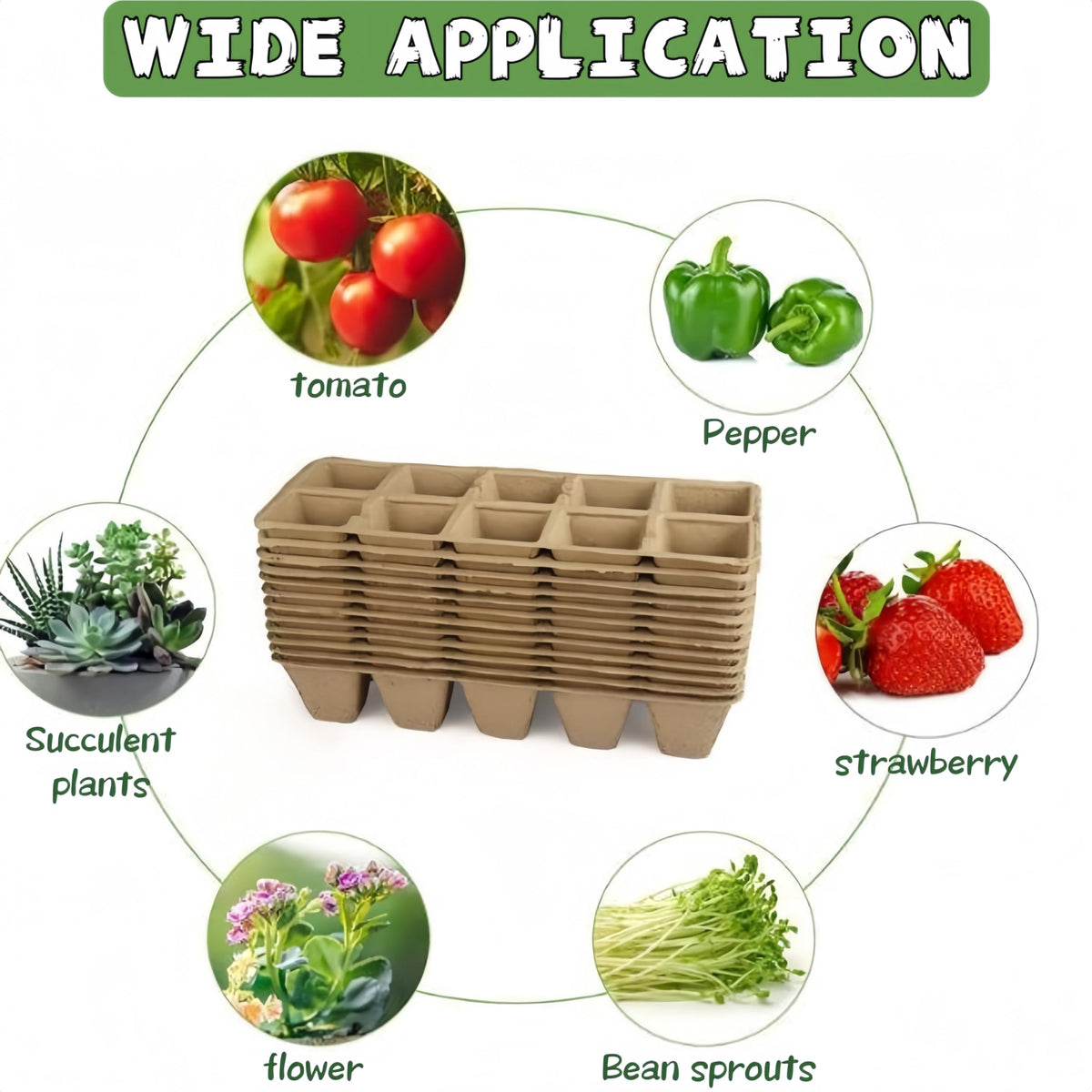 Sayehuanye mini transplanting tools aid gentle, precise transplanting.