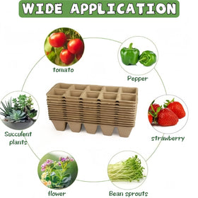 Sayehuanye mini transplanting tools aid gentle, precise transplanting.