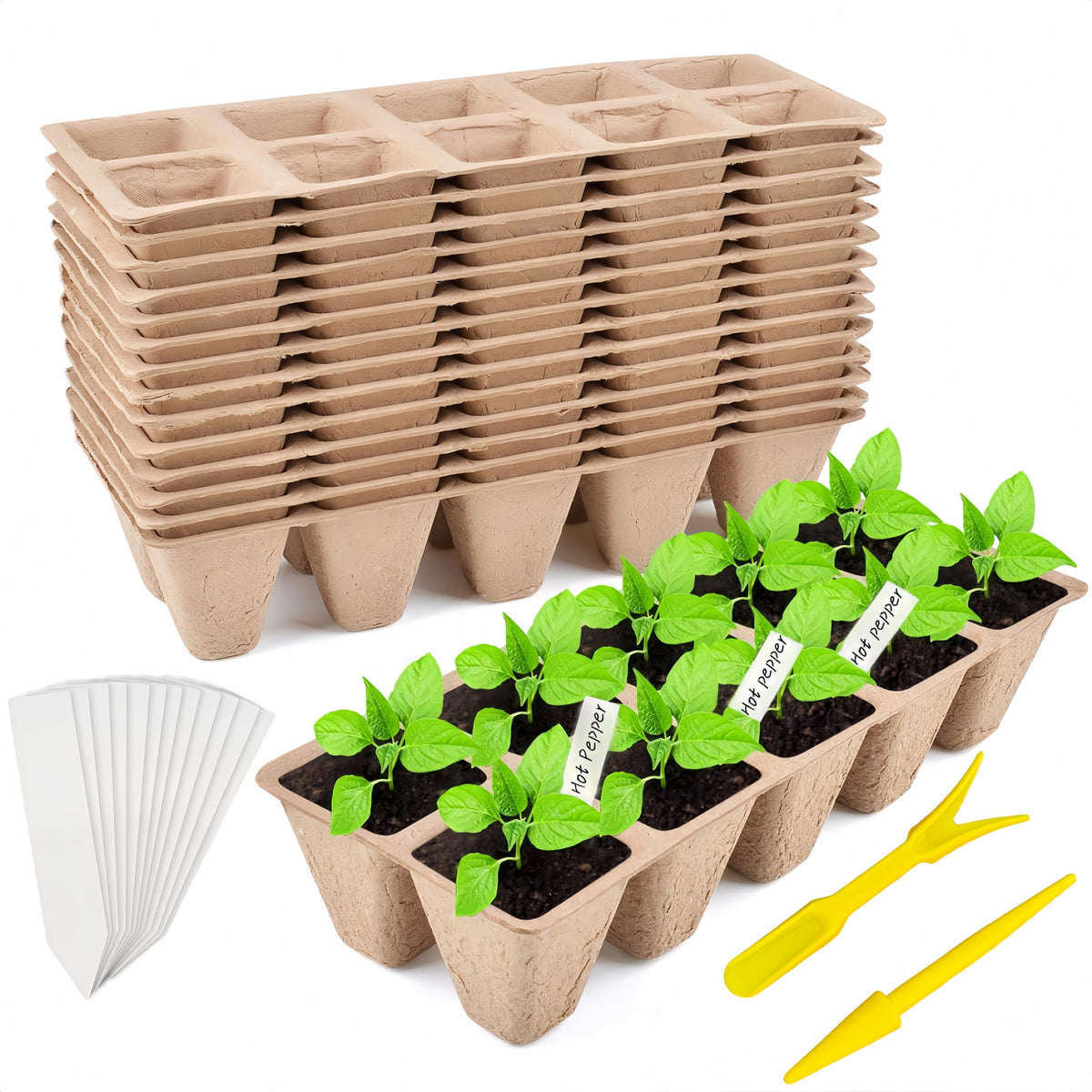 Sayehuanye seed starter tray 240 cells ready for organized indoor seed starting.