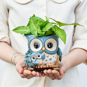 Saysmile owl planter on balcony setup for outdoor charm.