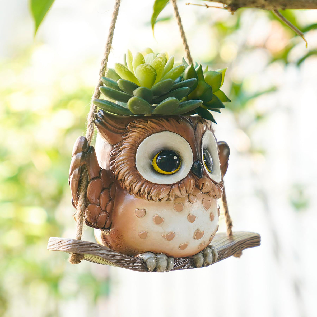 Saysmile drainage-hole small pot ensures proper watering for compact plants.