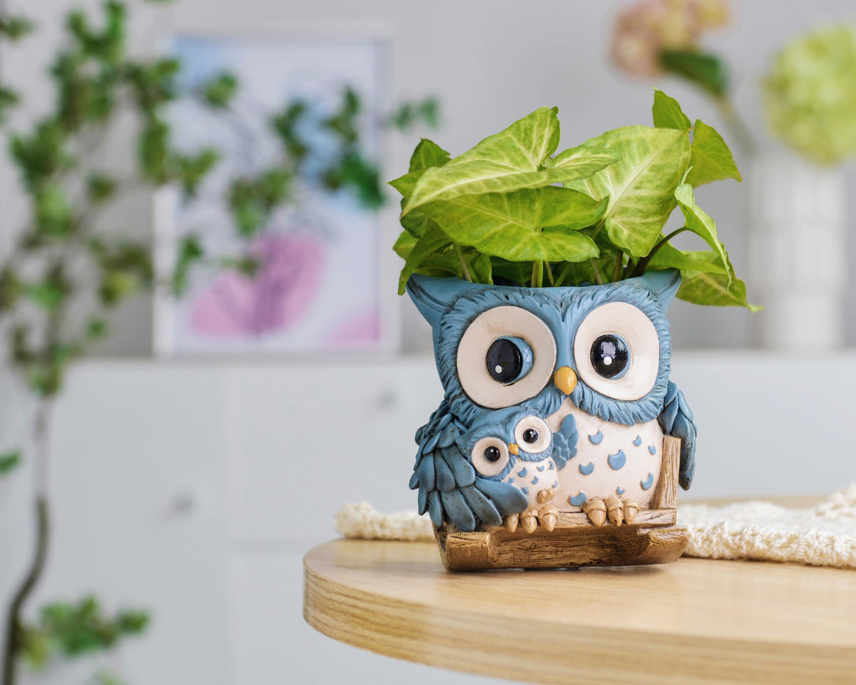 Saysmile gift-ready owl plant pot designed for plant lovers.