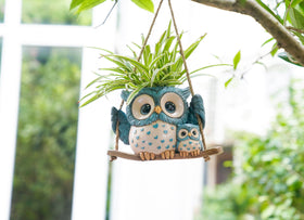 Saysmile gift-ready owl planter makes a thoughtful present for mothers.