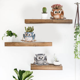 Saysmile Owl Planter Removable Stopper for easy drainage control.