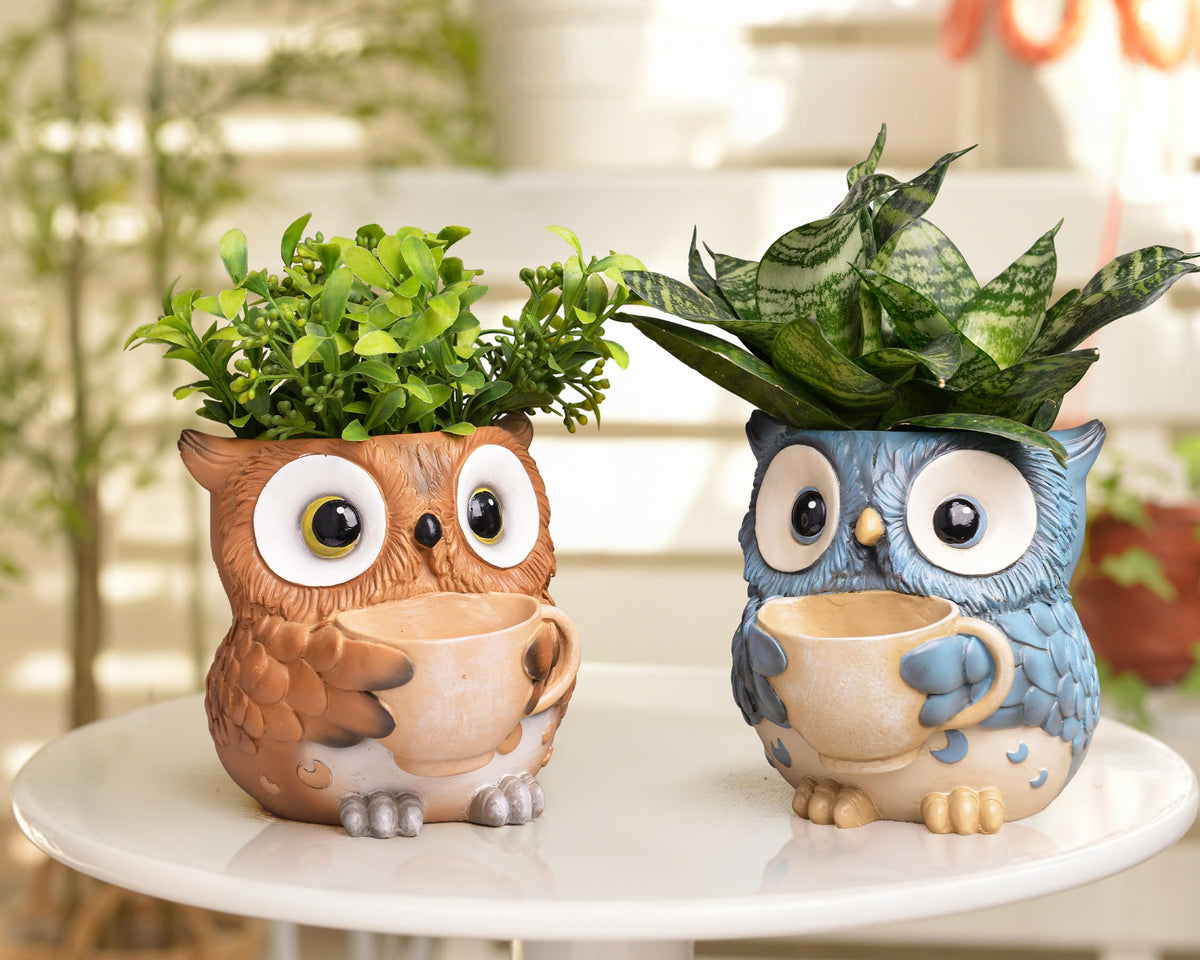 Saysmile owl pot closeup shows charming design for shelves.
