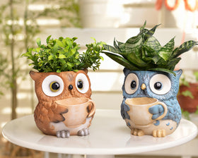 Saysmile owl pot closeup shows charming design for shelves.