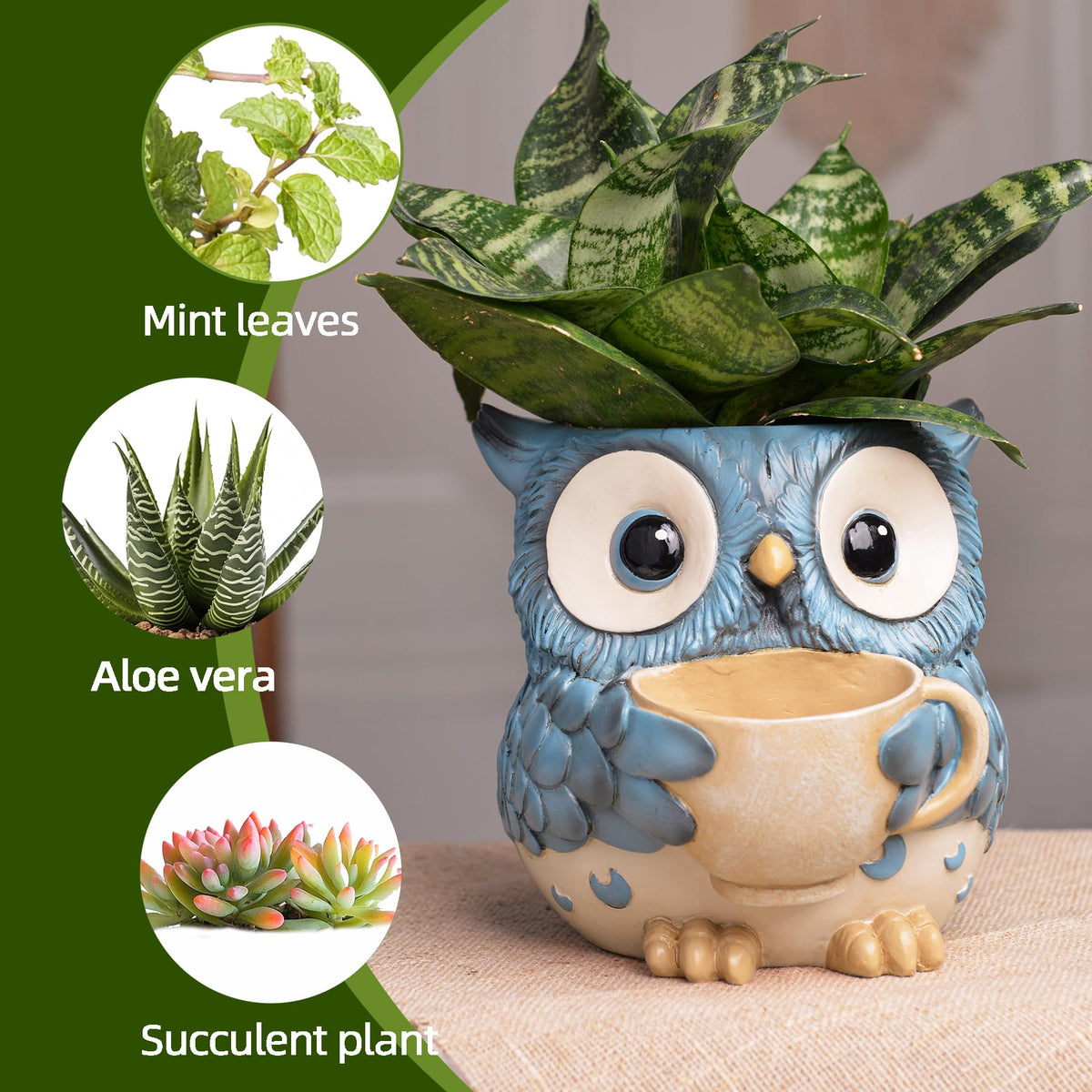 Saysmile owl pot drainage hole with removable stopper supports plant health.