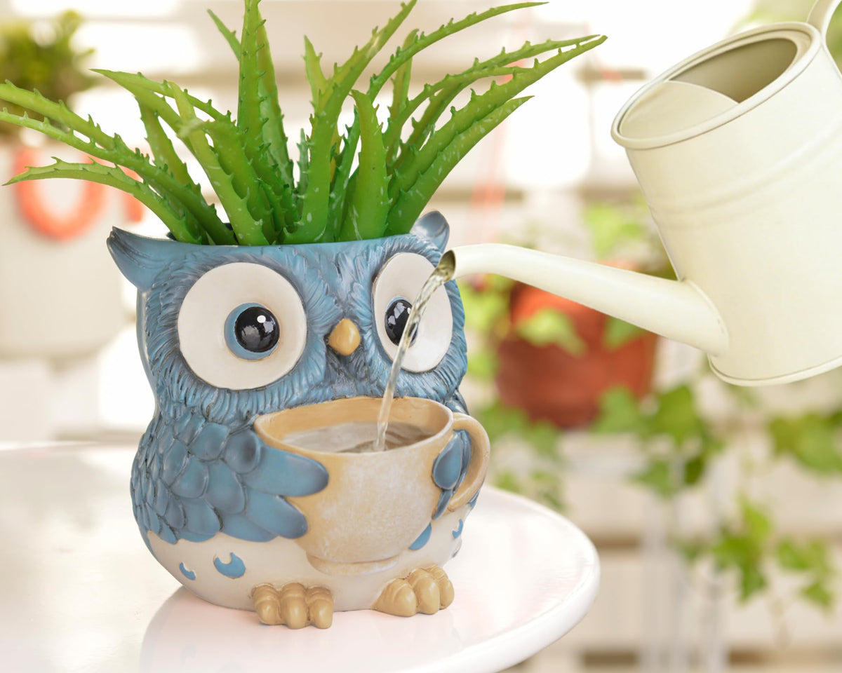 Saysmile owl planter suitable for indoor and outdoor spaces.