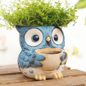 Saysmile unique owl pot with watering cup adds cozy desk charm for plants.