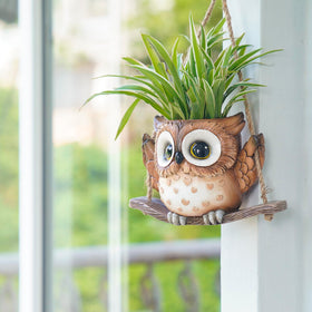 Saysmile planter with removable stopper enables precise watering for succulents.