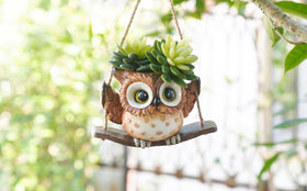 Saysmile succulent-trailing pot ideal for compact greenery and decorative hangs.