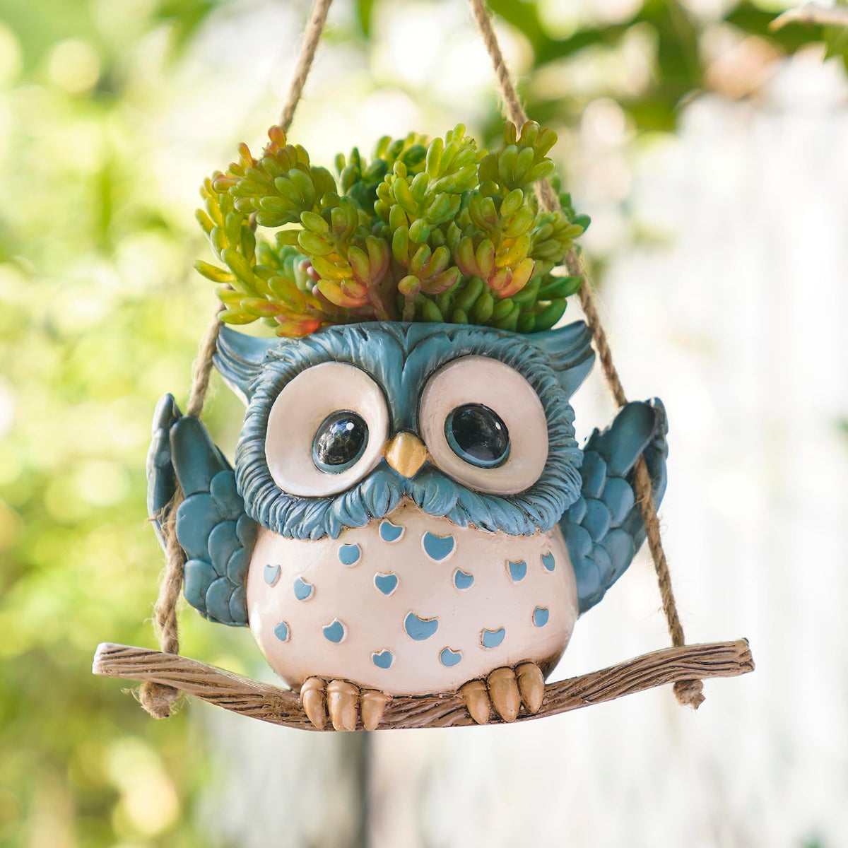 Saysmile Swing Owl Planter indoors with drainage for healthy small plants.