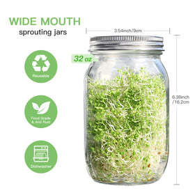 SBMKK 32oz wide-mouth jar offers ample space for sprouts.