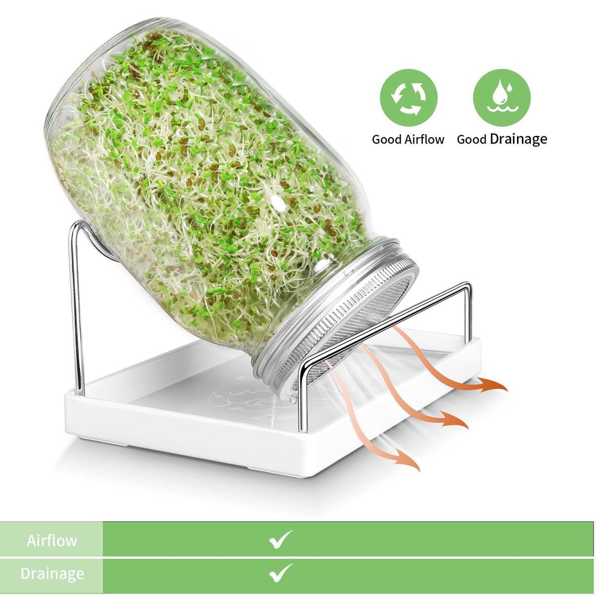 SBMKK drip tray stand keeps sprouts organized and tidy.