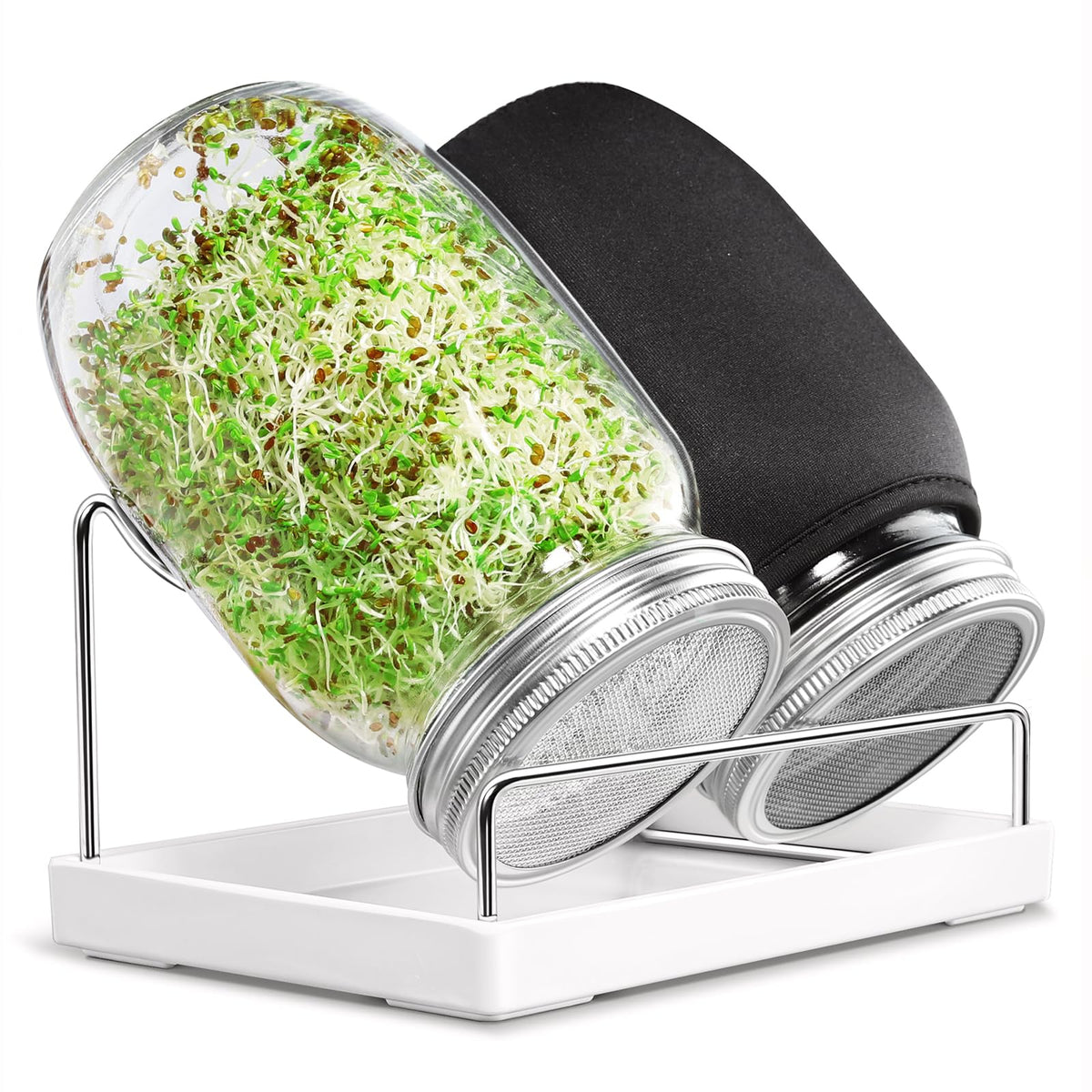 SBMKK seed sprouting jar kit with two jars for easy at-home sprouts.