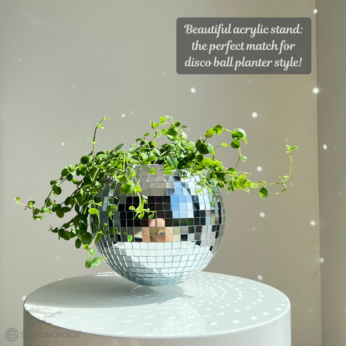 SCANDINORDICA disco ball planter arrives gift-ready for plant lovers.
