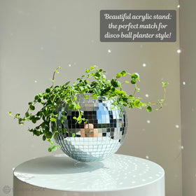 SCANDINORDICA disco ball planter arrives gift-ready for plant lovers.