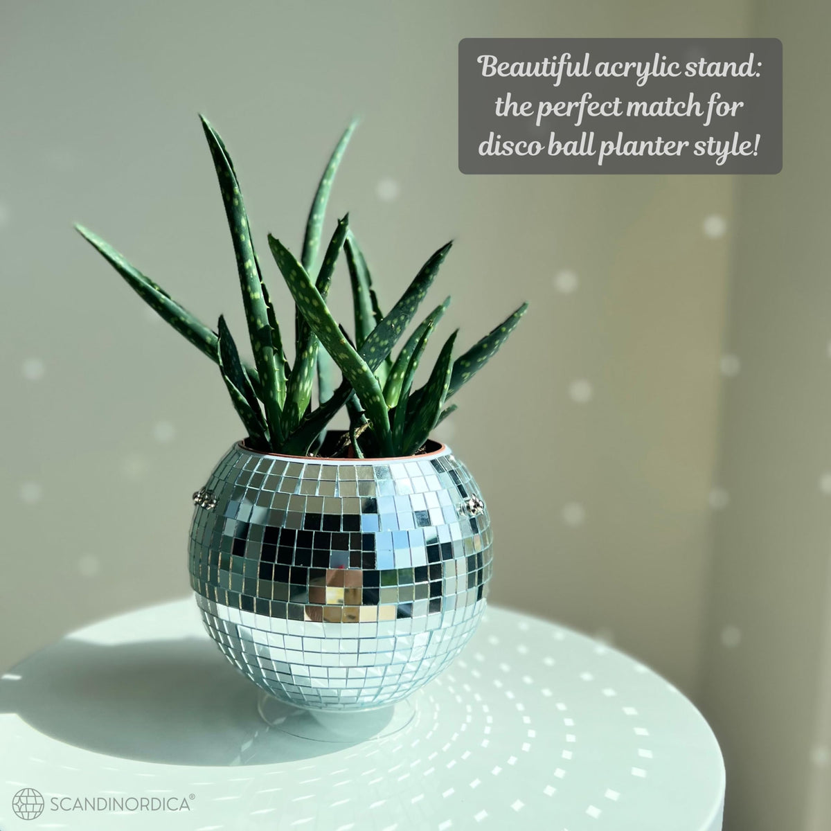 SCANDINORDICA gift-ready packaging suits plant lovers perfectly.