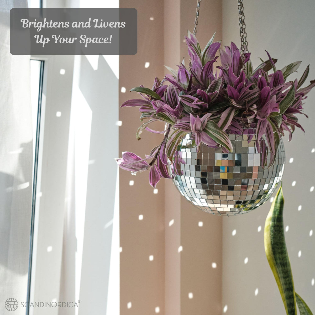 SCANDINORDICA disco ball planter with self-watering insert simplifies plant care.
