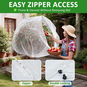 Scatsi large cover over cucumbers and squash provides pest protection with rain access.