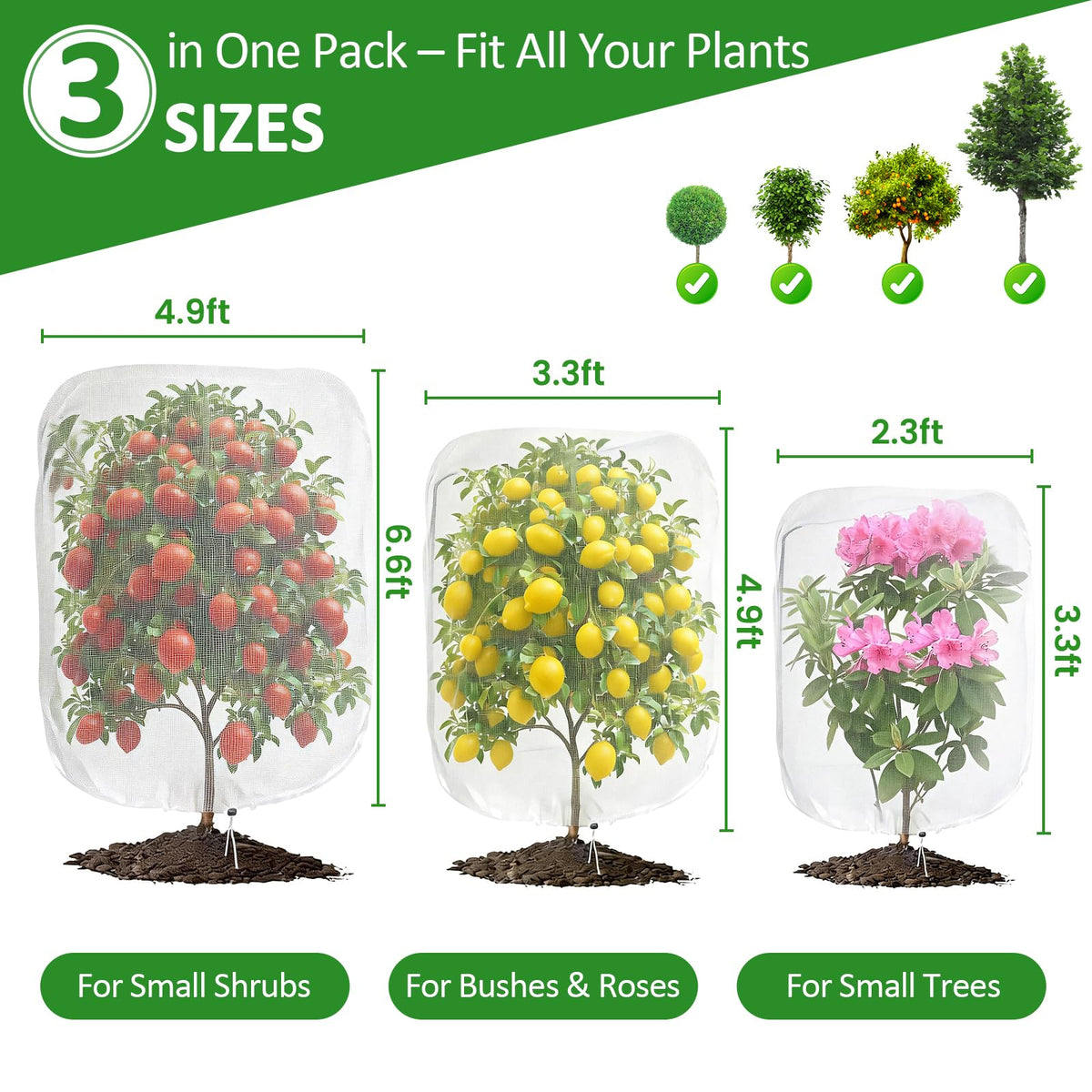 Scatsi bag protects tomatoes, allowing air flow and guarding against birds.