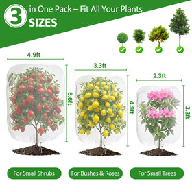 Scatsi bag protects tomatoes, allowing air flow and guarding against birds.
