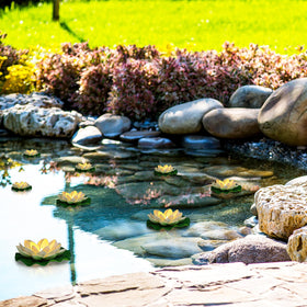 Scawim koi pond lotus light enhances water features.