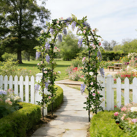 SCENDOR iron pergola arbor ideal for bridal party decorations and photo moments.