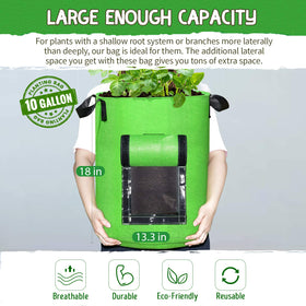 SCENGCLOS bag with accessible flap for easy watering and inspections.