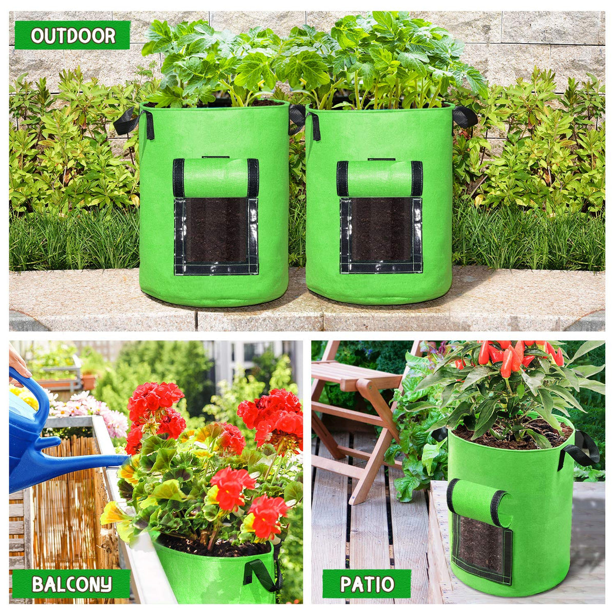 SCENGCLOS bag used for potatoes, tomatoes, and carrots during growing season.