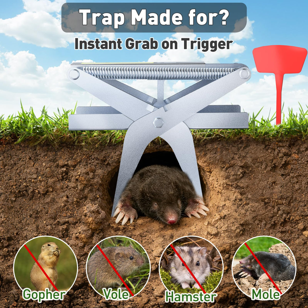 Schadro mole trap in ground for precise underground capture.