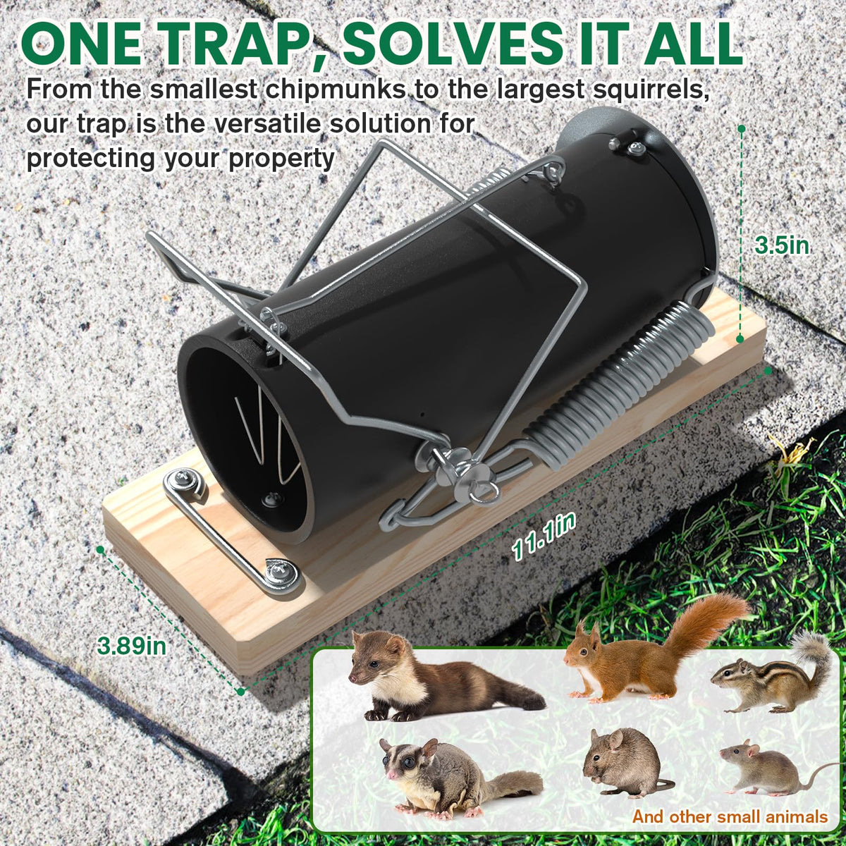 Schadro squirrel trap fixed on wood for permanent garden protection.