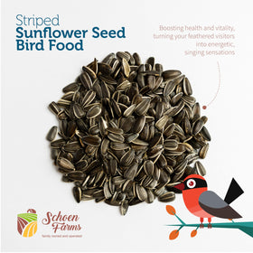 Schoen Farms striped sunflower seeds close-up showing thicker shells for selective feeding