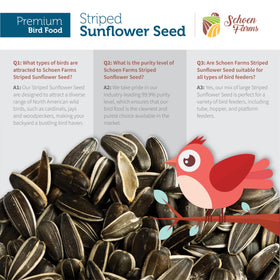 Schoen Farms Canadian farm grown seeds for backyard birds