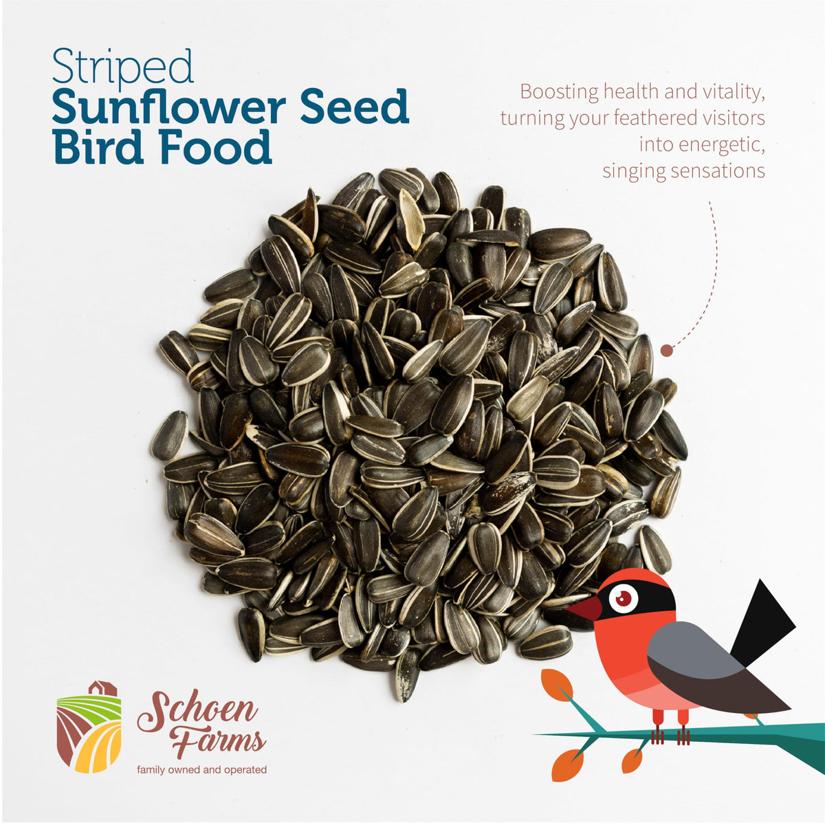 Schoen Farms finches cardinals jays attracted to hulled sunflower seeds