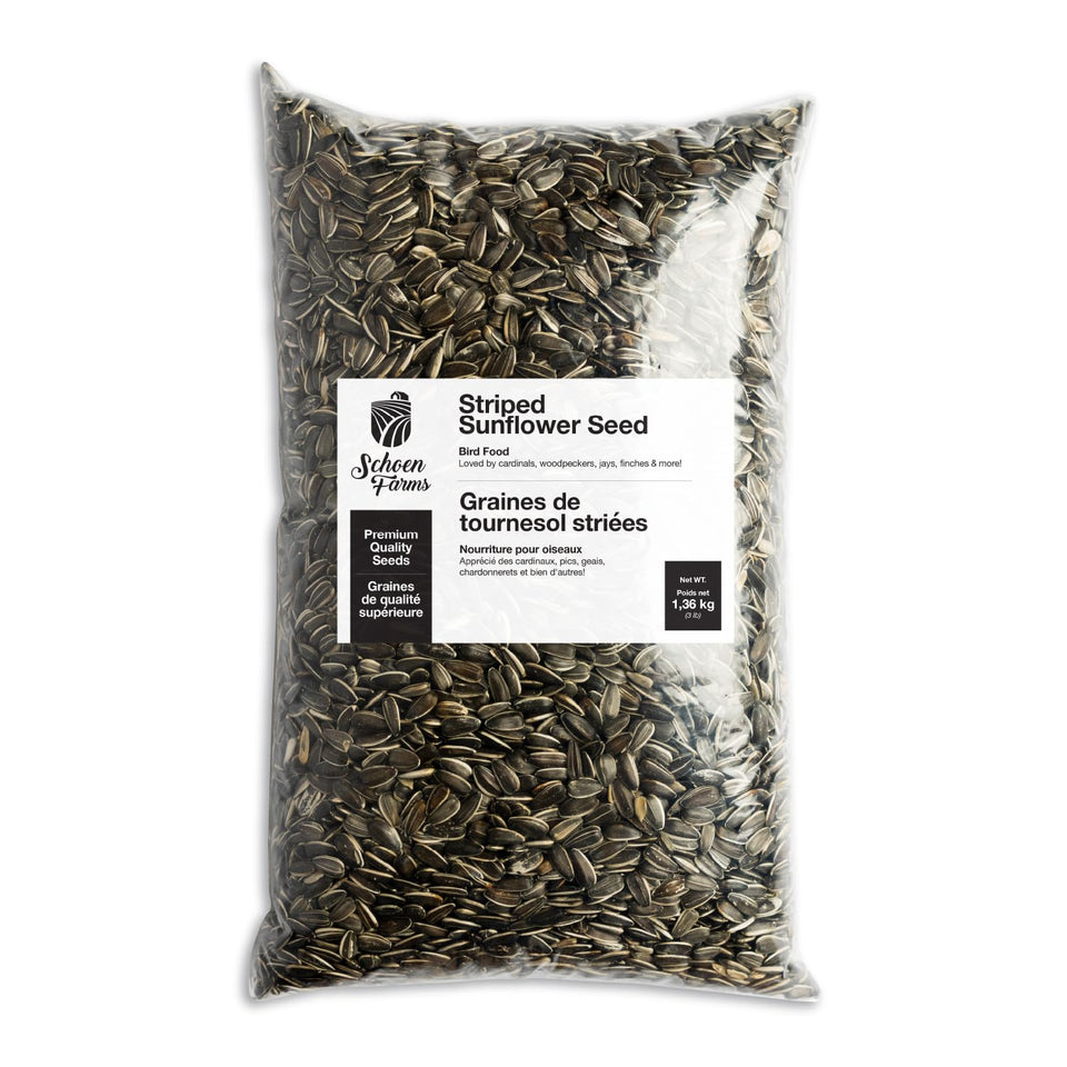 Schoen Farms striped sunflower seeds hulled for clean feeding in backyard feeders