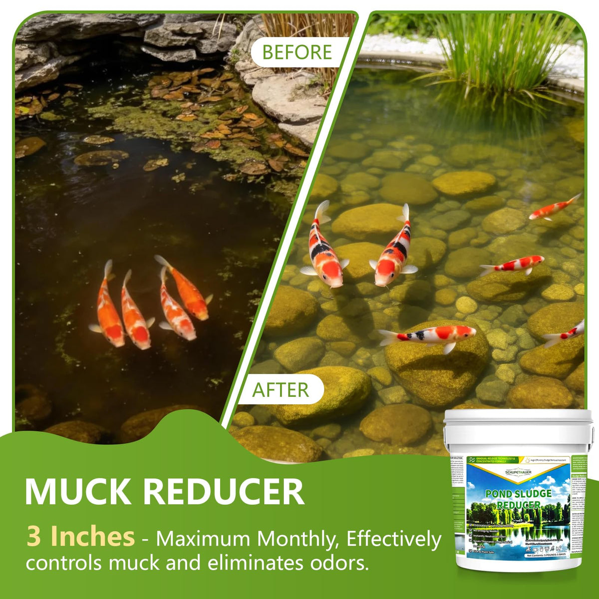 Before and after pond muck with Schupethauer application