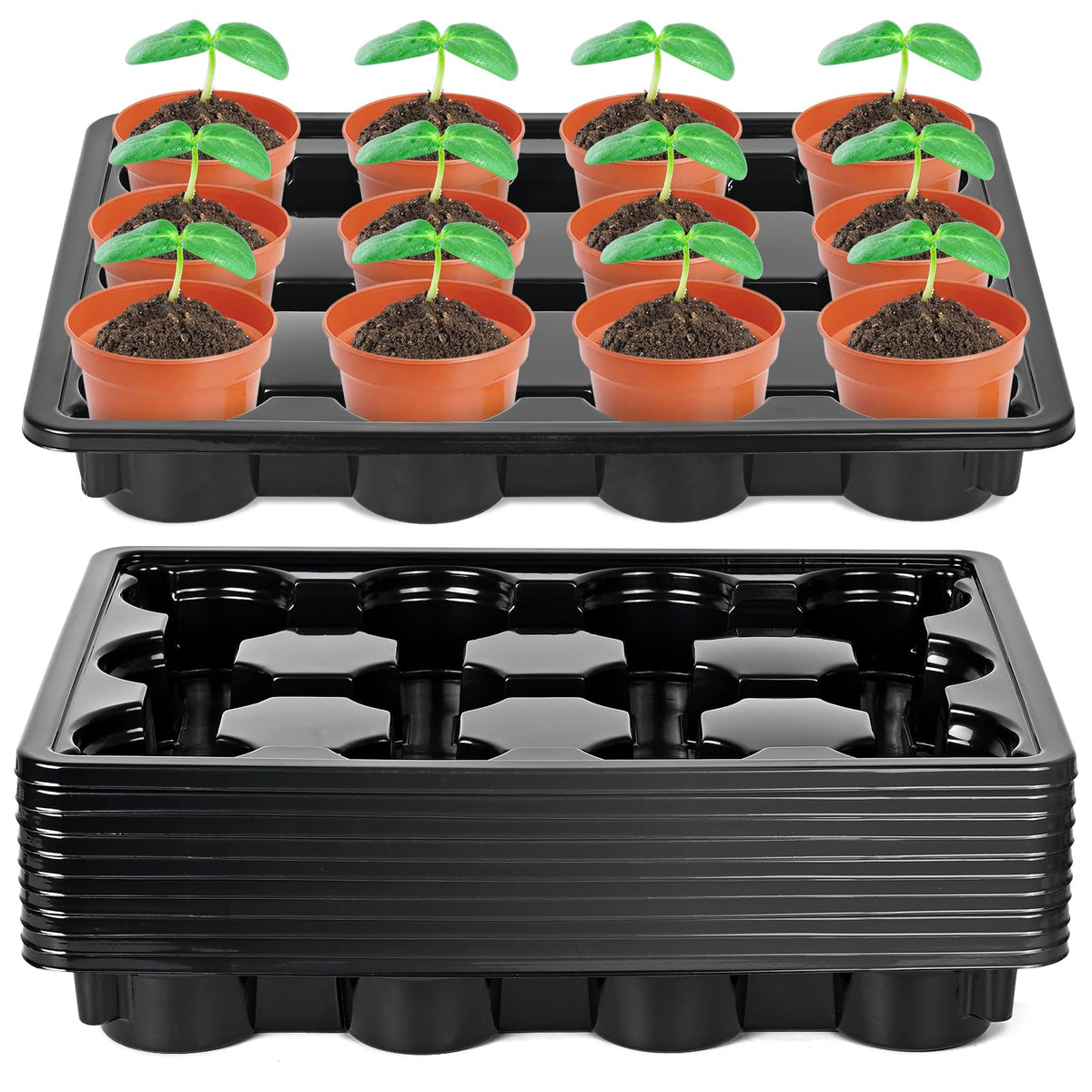 Sckee 12-cell round nursery pot tray front view stabilizing 4-inch pots