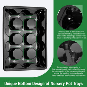 Sckee 12-cell tray indoors use with seedlings organized care