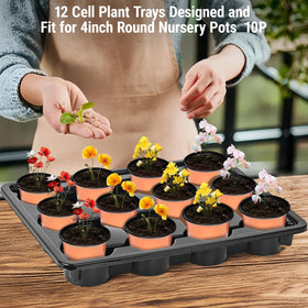 Sckee 12-cell tray with pots ready for watering