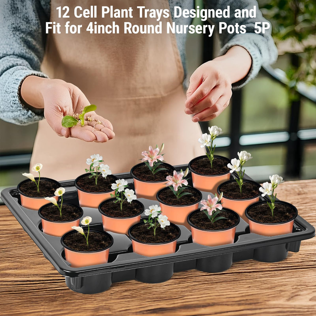 Sckee tray in use handling multiple pots for portable movement