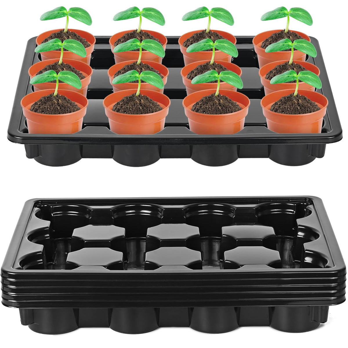 Sckee 12-cell round pots tray top view keeps 4-inch pots organized and stable