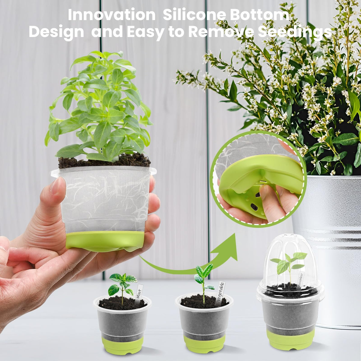 Sckee 30-pack with lids and labels supports organized seed starting.